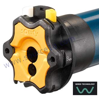 Motor with drive and mounting components