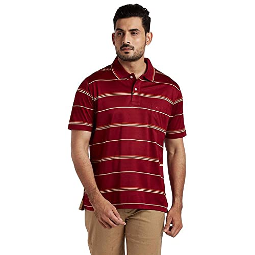 Image of Color Plus Stripes Cotton Regular Fit Mens T-Shirt