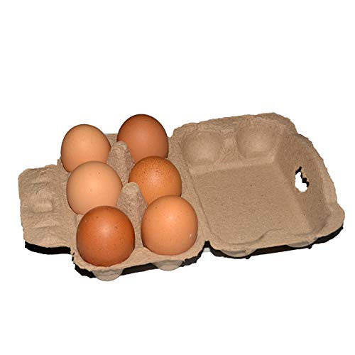 Produktbild von Eierkarton Für 6 Eier – 5/10/20 Stück, Biologisch Abbaubar Aus Recyceltem Zellstoff, Für Frische Eier, Hof & Küche