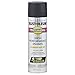 Rust-Oleum 7578838 Professional High Performance Enamel Spray Paint, Flat Black, 15-Ounce