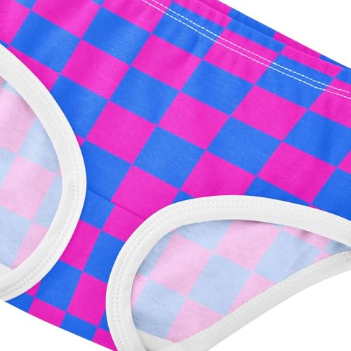 Blue and Pink Buffalo Checkered Toddler Girls's Underwear 2T4