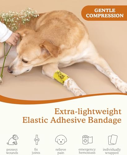 Image of A-Tape Breathable Self Adhesive Cohesive Bandage for Humans & Pets (Dogs, Cats, Birds) -Sports, Wrap, Athletic, Non Woven First Aid Medical, Wrist, Swelling (10 cm X 4.5 mtr) (Pack Of 6, Beige)