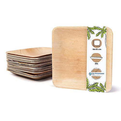 Vajila de Platos Cuadrados de Hoja de Palma - Biozoyg