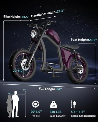 BIGNIU Bicicleta elétrica para adultos, motor sem escova de 800 W, 48 V / 22,5 Ah, bicicleta elétric