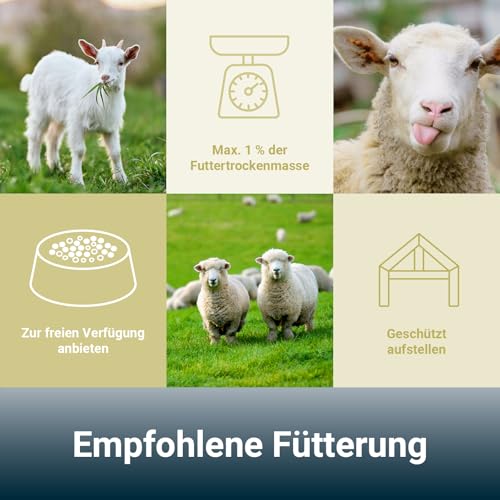 PANTO Mineralleckschale L92 10kg – Leckschale für Schafe, Ziegen und Schalenwild, Leckstein ohne Kupfer mit Selen und Zink