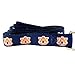 NCAA Auburn Tigers Dog Leash (Team Color, Large)