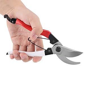 Gsycle Gartenschere Ergonomisch Modell 70G3