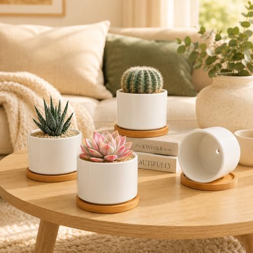 ZOUTOG Succulent Pots 3.15 Inch,4 Pack Succulent Planters,Small P...