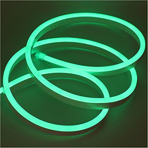 XUNATA Verde Luce al Neon Striscia LED con Alimentazione, 220 V SMD 5050 60 LED/m, Flessibile LED Strip per Scaletta Tetto Cavi da Cucina Decorazione - 1m