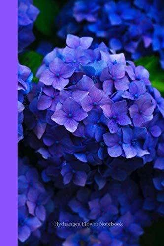Hydrangea Flower Notebook: A Great Journal & Daily Diary, With a High Quality Cover Design, 120 Lined Pages, 6*9'' Dimensions.