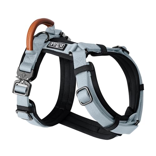 MADE TO ROAM Premium Explorer Harness - Y-Shaped Dog Harness with Adjustable Durable Nylon, Soft Padding, Metal Buckles and Leather Handle for Small, Medium, Large Dogs (Alaska Daybreak, Size 1)
