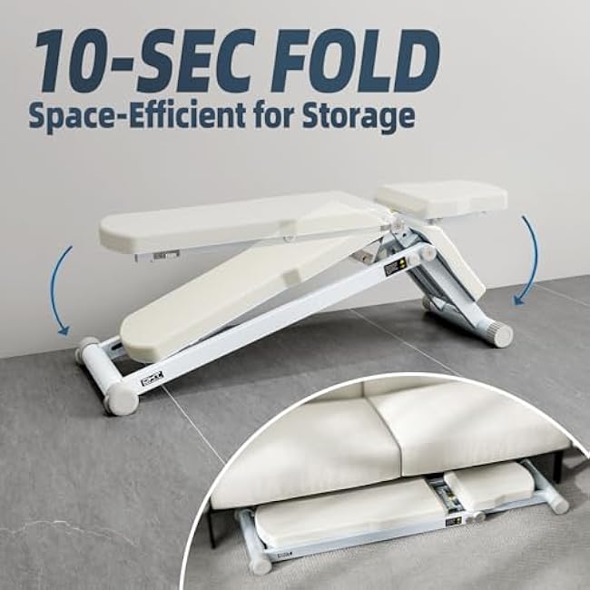 DHT Adjustable Weight Bench for Full Body Workout, Heavy Duty Foldable Bench Press for Home Gym Strength Training, Incline Decline Flat Utility Workout Bench with Fast Adjustment