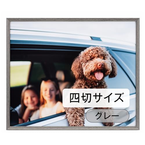 �P���R�[(Kenko) �z�� �A�~�l�I�E�O�����f �l�� �O���[ �ؖڒ��A���~�t���[�� UV�J�b�g�A�N���� ���{�� AAG-4-GRY