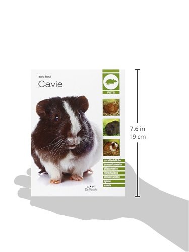 Cavie - 5