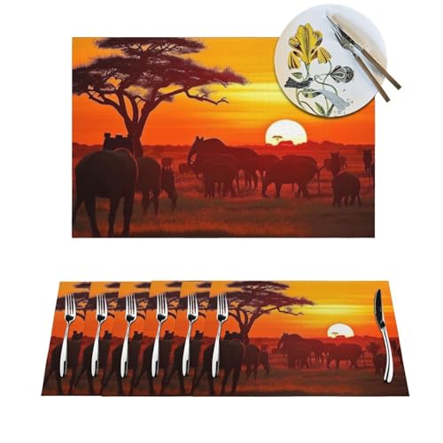 Sets de table en vinyle antidérapant résistant chaleur 30x45cm motif coucher de soleil