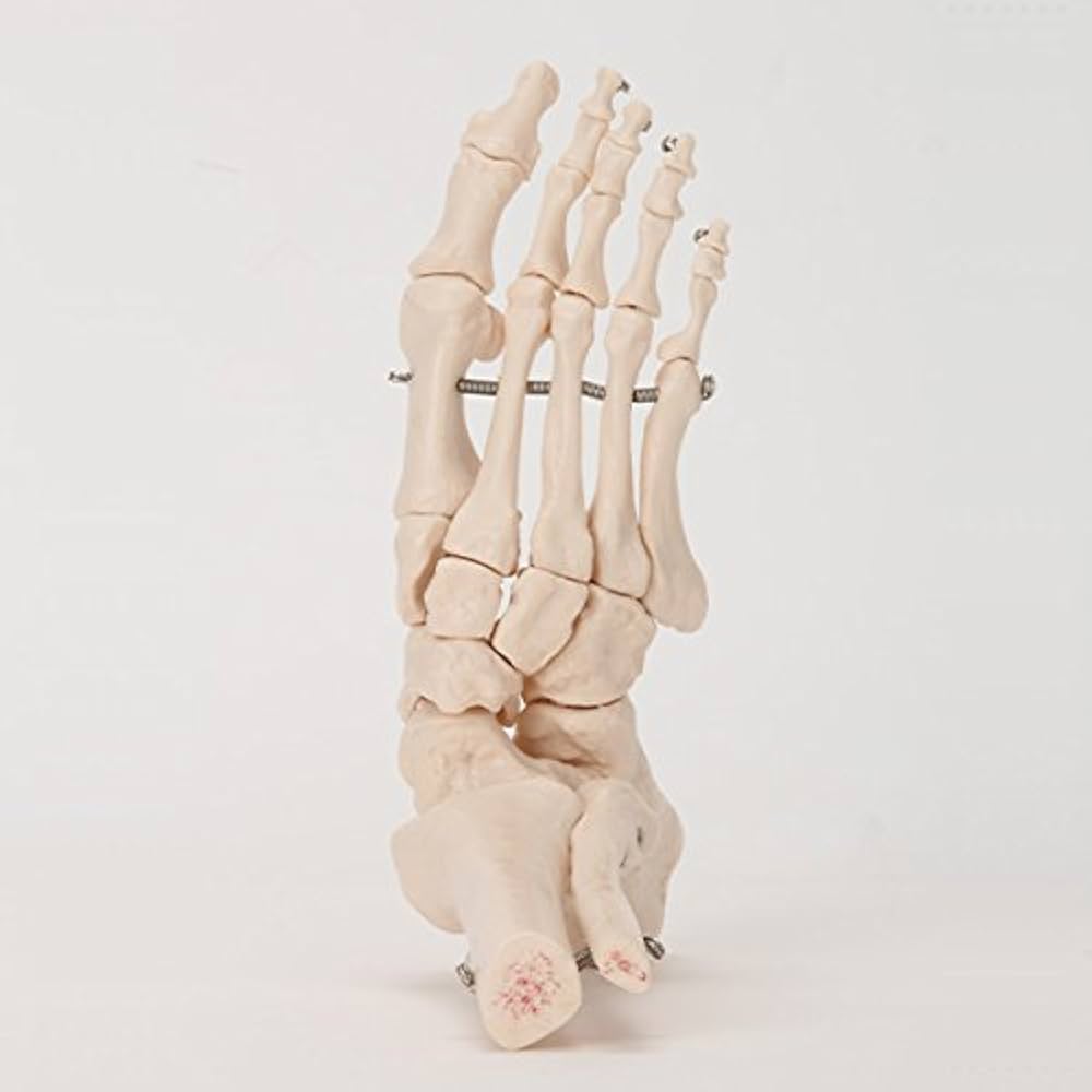 41ntcuUiecL._AC_UF1000,