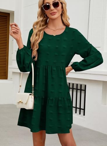 Image of QACOHU Falll Dresses for Women 2026 Crew Neck Long Lantern Sleeve Casual Loose Flowy Swing Shift Dress