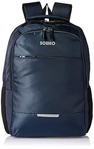 Amazon Brand - Solimo Laptop Backpack for 15.6-inch Laptops, 30L (Blue)
