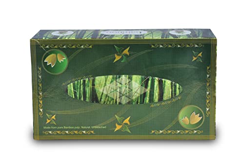 Image of Kosher Bamboo Facial Tissue Box - Pack of 4 - Made of Pure bamboo Pulp - 2 Ply - 100 pulls each (GreenGrove)