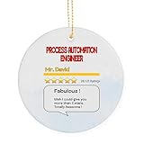 Custom Ornament Process Automation Engineer Appreciation Gift, Christmas Ornament Gift for Process Automation Engineer Gift Coworker, Friends Keepsake Xmas Decoration
