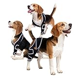 Aeegee Adjustable Dog Knee Brace for ACL tears and patellar Luxation, Providing Stable Support, Pain Relief, and Promoting Recovery, Suitable for Front and Rear Legs (M)