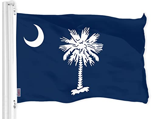 G128 South Carolina SC State Flag | 3x5 Ft | LiteWeave Pro Series Printed 150D Polyester | Indoor/Outdoor Vibrant Colors Brass Grommets Thicker and More Durable Than 100D 75D Polyester
