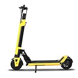 E Scooter 30 Km Reichweite 350W Motor Elektro Scooter 10 Zoll Vollgummireifen, 10 Ah Battery, Höchstlast 150kg, Faltbarer Elektroroller für Erwachsene und Jugendliche - IP54 Magnesiumlegierung- N1