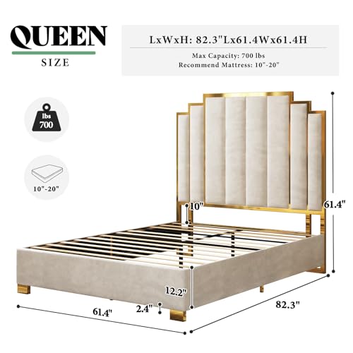 Image of AMERLIFE Queen Size Upholstered Bed, Modern Velvet Bed Frame with 61.4 inch Tall Gold Trim Headboard, No Box Spring Needed, Cream