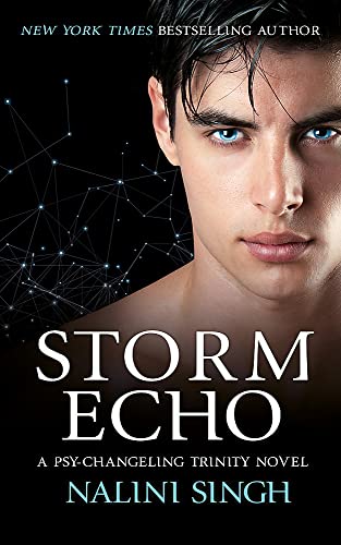 Book cover for Storm Echo