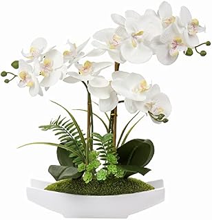 Briful White Orchid Artificial Flowers in Ceramic Pot Fake Orchid White Silk Phalaenopsis Flower Arrangement Artificial Orchid Plant Indoor for Home Office Kitchen Bedroom Wedding Decor