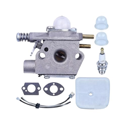 Carburateur pour GT-2400 et PPT-2400 remplace l'OEM 12300052133