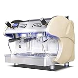 PLTJ-Pbs Coffee machine Italian semi-automatic double-head coffee machine High-pressure steam espresso coffee shop equipment coffee pot multi-function