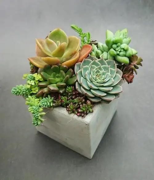 Miniatura 6 de Moldes de hormigón cuadrados de silicona para macetas de flores y macetas suculentas, soporte para tarro en forma de cubo para decoración de bonsái