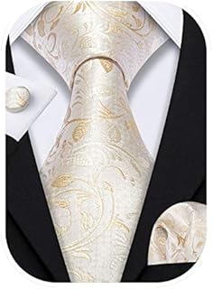 Barry.Wang Flower Ties for Men Silk Necktie Set with Handkerchief Cufflink Wedding Business