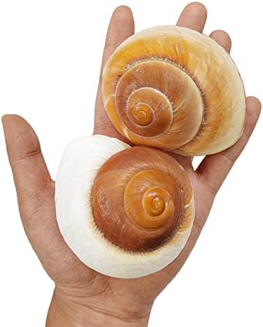 QICQDRAM 2 PCS Muffin Snail Large Hermit Crab Shells 2.7~3.5Inch Natural Sea Conch Opening Size 1"~1.5" Hermit Crab Supplies
