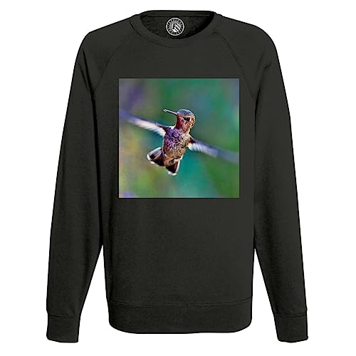 Sweatshirt Homme Colibri anti-déformation pour un style impeccable durable
