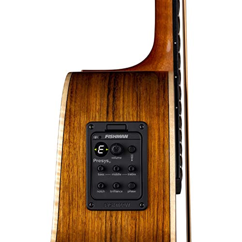 Luna Vista Bear Acoustic/Electric Bass with Case by LUNA - Used condition - Image 4