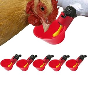 Bicchieri automatici in plastica pe...