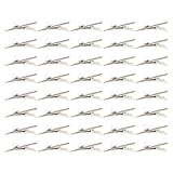 Un accessoire de loisirs créatifs fiable : utilisez ces pinces à ressort comme pinces d’encadrement et supports pour photos, facilitant ainsi l’organisation, la présentation et la décoration de vos accessoires pour cheveux. petites pinces métalliques robustes