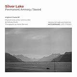  Seeed