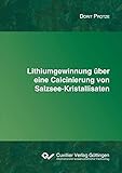 Lithiumgewinnung über eine Calcinierung von Salzsee-Kristallisaten