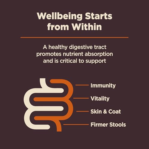 Wellness CORE Digestive Health Small Breed Adult Dry Dog Food, Wholesome Grain Kibble, Sensitive Stomach, Natural, High Protein, Chicken Recipe, 4 lb Bag - image 7