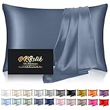 Silk Pillowcase for Hair and Skin, Mulberry Silk Pillow Cases Standard Size, Cooling Sleep Both Sides Natural Silk Satin Pillow Covers with Zipper, Gifts for Him Her Women Men, Ash Blue