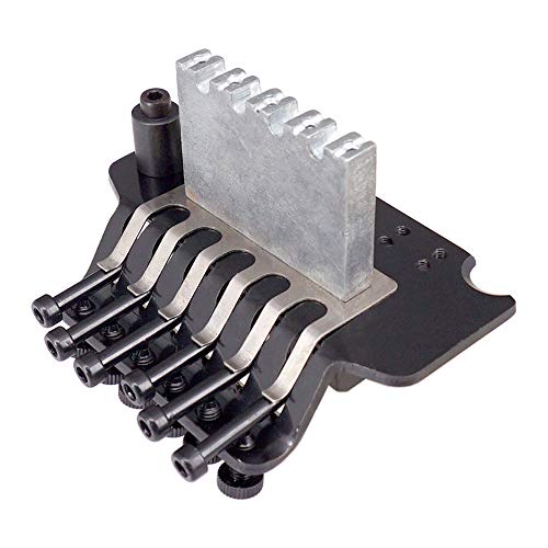 Pratique de Guitare Fluide avec la Couche à Queue Double Rouleau SEAFRONT - 4