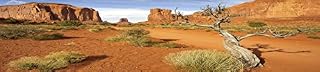 Carolina Custom Cages Reptile Habitat Background; Monument Valley with Tree, for 36Lx18Wx18H Terrarium