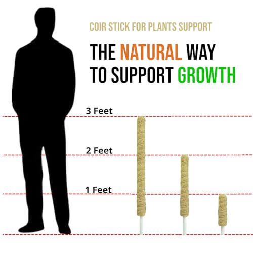 Image of Casa De Amor Coir Stick | Natural Coco Pole Support for Climbing Indoor & Outdoor Plants | Strong Pole for Money Plant, Monstera, Pothos Growth (3 Feet, Set of 4)