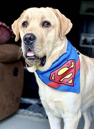 Image of TDIT X�DC Superman Reversible Dog Bandana with Adjustable Dog Collar (Size Small)