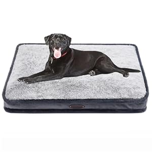 DEBANG HOME Lit pour Chien Large pour Grand Chien, lit de Chien pour Chien Moyen, lit de Petit Chien, lit de Calming, lit de Chien Anxiety Comfy Durable avec Housse Amovible Lavable (M, Gris)