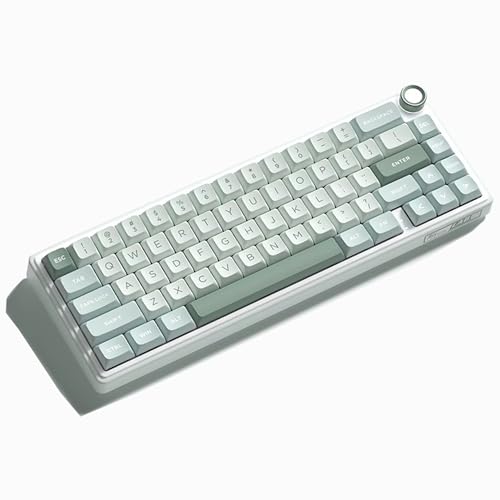 RK ROYAL KLUDGE R65 ���J�j�J���L�[�{�[�h GASKET�\�� �����E�L��3���[�h�Ή� Bluetooth/2.4GHz/Type-C RGB�o�b�N���C�g 65%�z�� 3750mAh�o�b�e���[ PBT�L�[�L���b�v �z�b�g�X���b�v ���ʃm�u�t