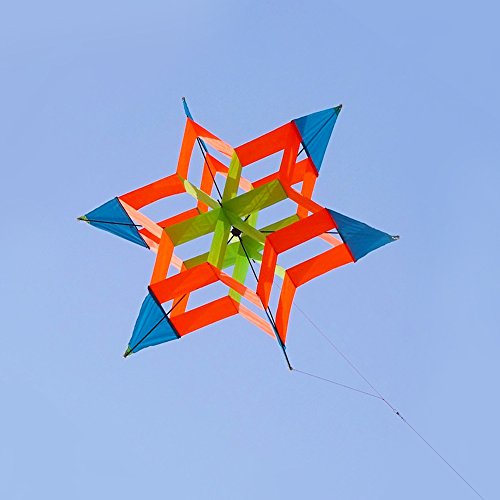 Hengda Kite-New Version 42 Inch So Beautiful 3D Lotus Flower Kite For Kids And Adults Easy To Carry With Flying Line #TOP5